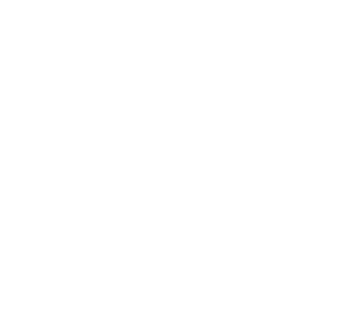 GROUPE CFID